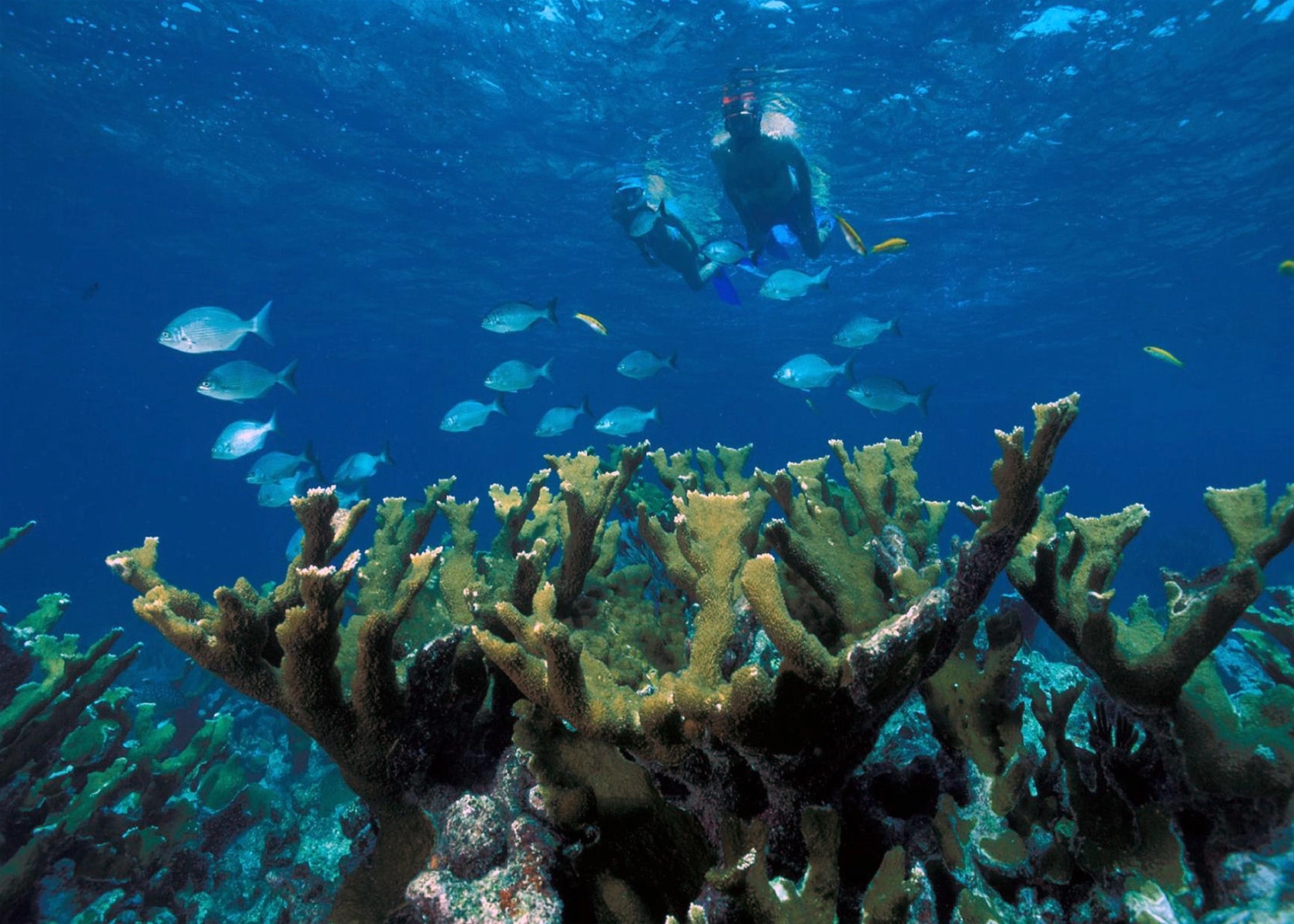 Biscayne National Park